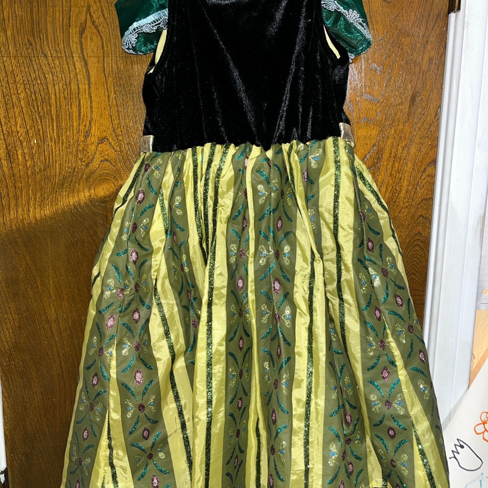 Frozen Princess Anna Costume - Picture 2 of 4